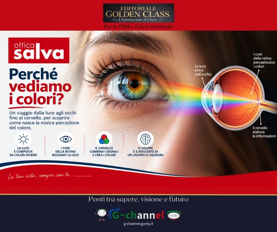 Perché vediamo i colori?